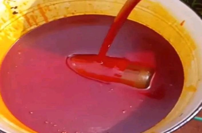 A bowl of fresh bright red palm oil 