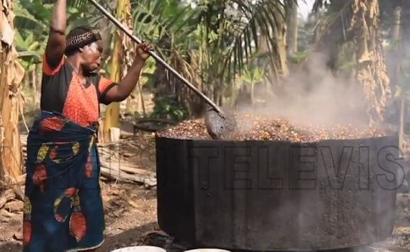 A woman in Nigeria sterilizing of palm fruits by steaming