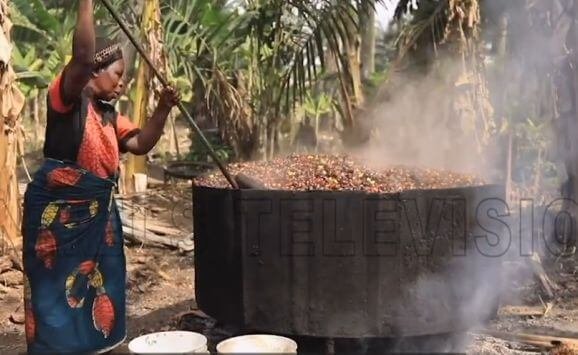 A local woman processing the palm oil fruits in Nigeria