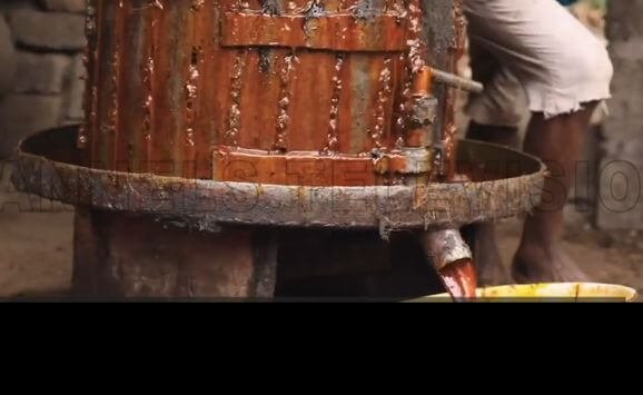 Pressing the palm fruit pulp and fiber to extract crude palm oil