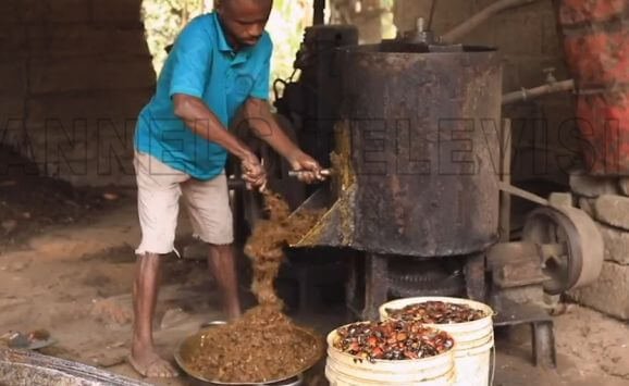 A man milling the palm fruits after steaming and sterilizing