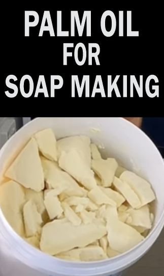 Lumps of palm oil for making soap