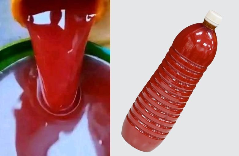 Red Palm Oil Production Processes