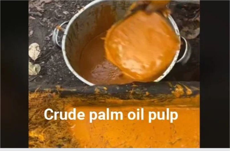 What is crude palm oil?