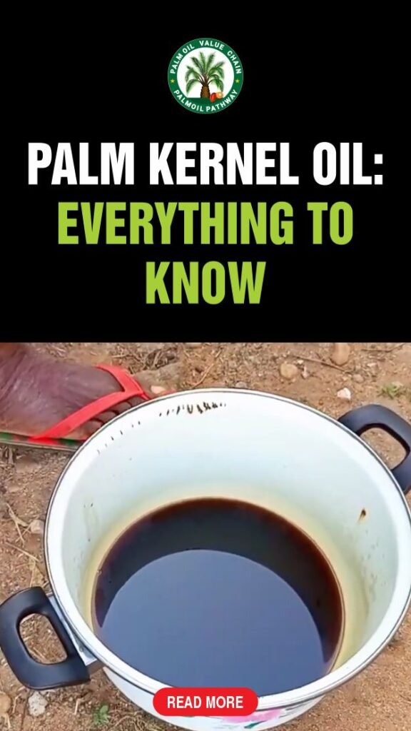 Oil from palm kernel