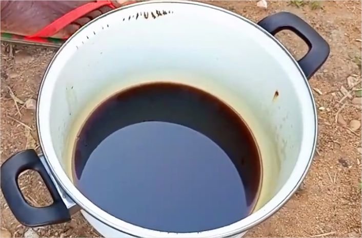 A bowl of extracted palm kernel oil