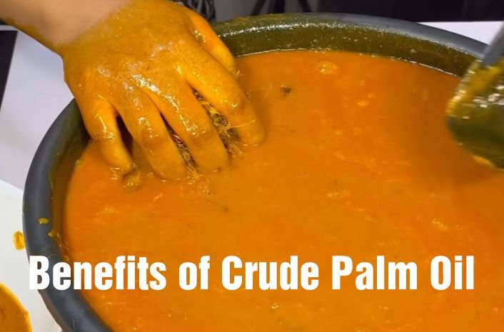 An orange colored freshly extracted raw palm oil showing Benefits of Crude Palm Oil