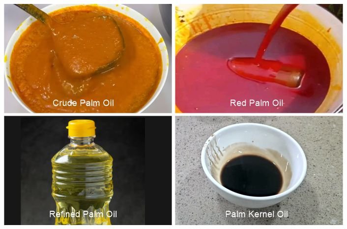 The four types of palm oil showing the Health benefits of palm oil
