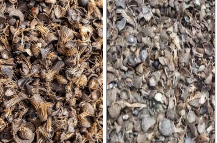 Fresh and old palm kernel shells from processing palm oil
