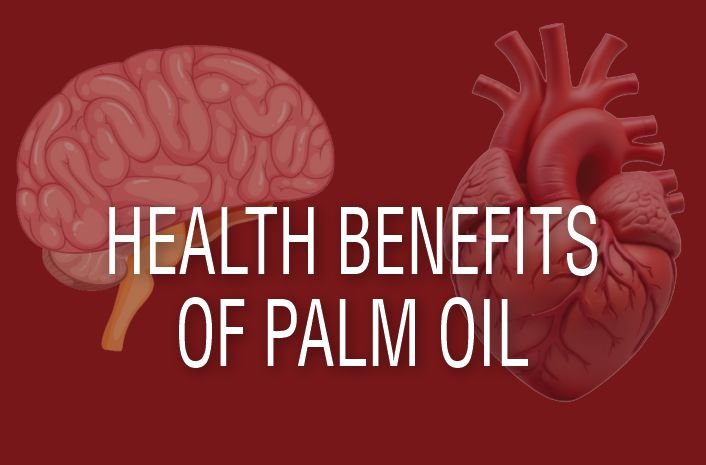 Brain and heart depicting the health benefits of palm oil