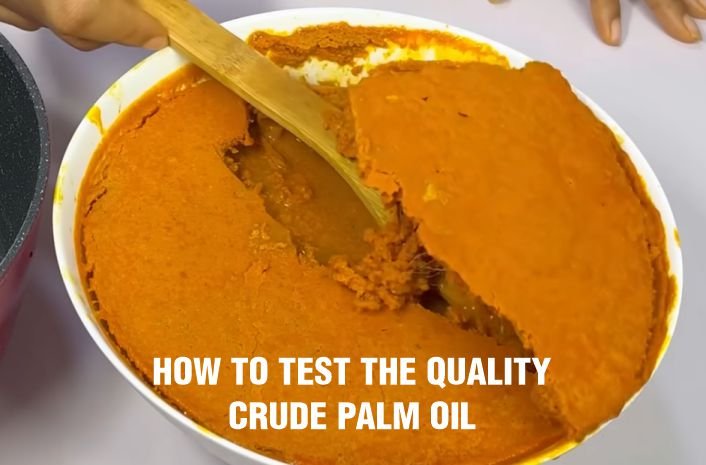 How to Test the Quality of Crude Palm Oil
