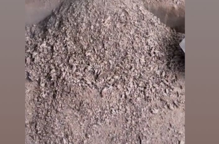 Palm Kernel Cake for fish feed