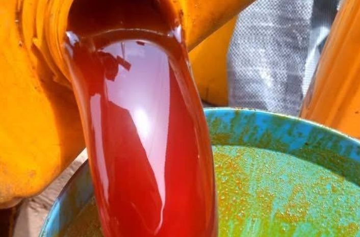 Pure, original red palm oil